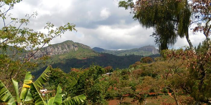 Usambara Mountains - Tanzania