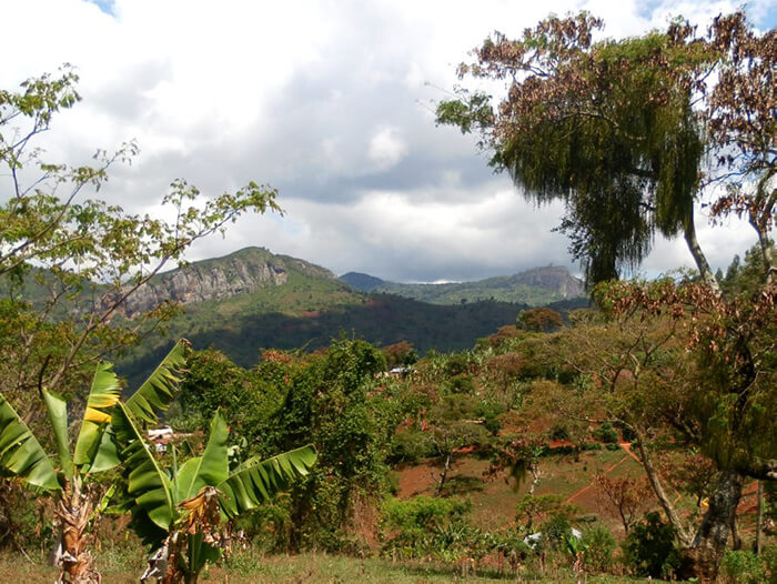 Usambara Mountains - Tanzania