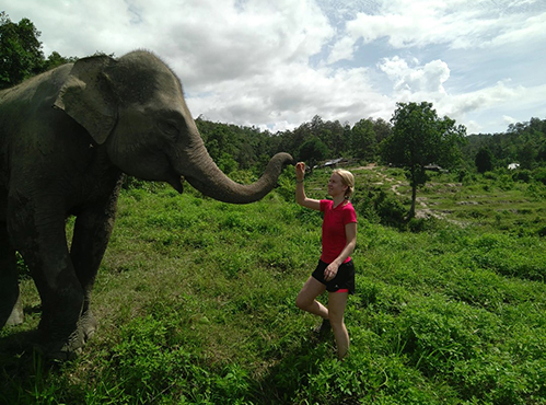 olifant-thailand