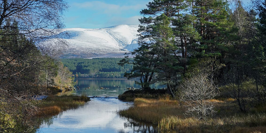 Cairngorms National Park 4 Cairngorms National Park 4