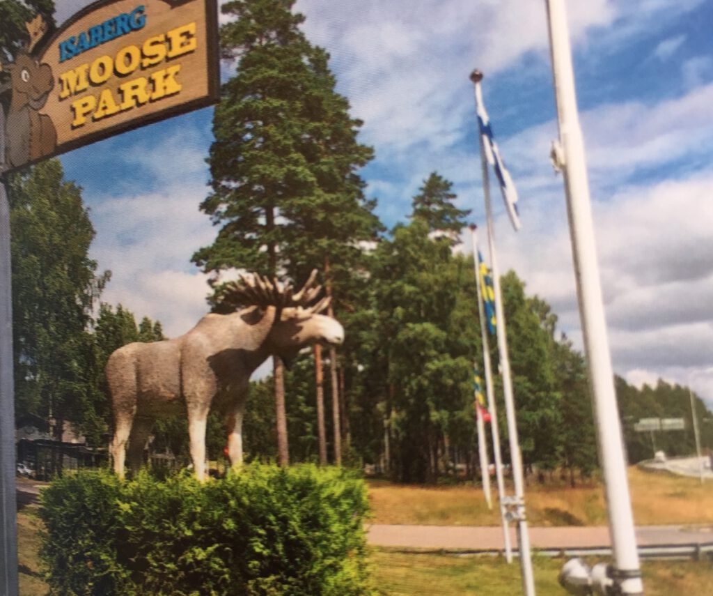 Zweden │ Isaberg Moose Park - Oh Deer!
