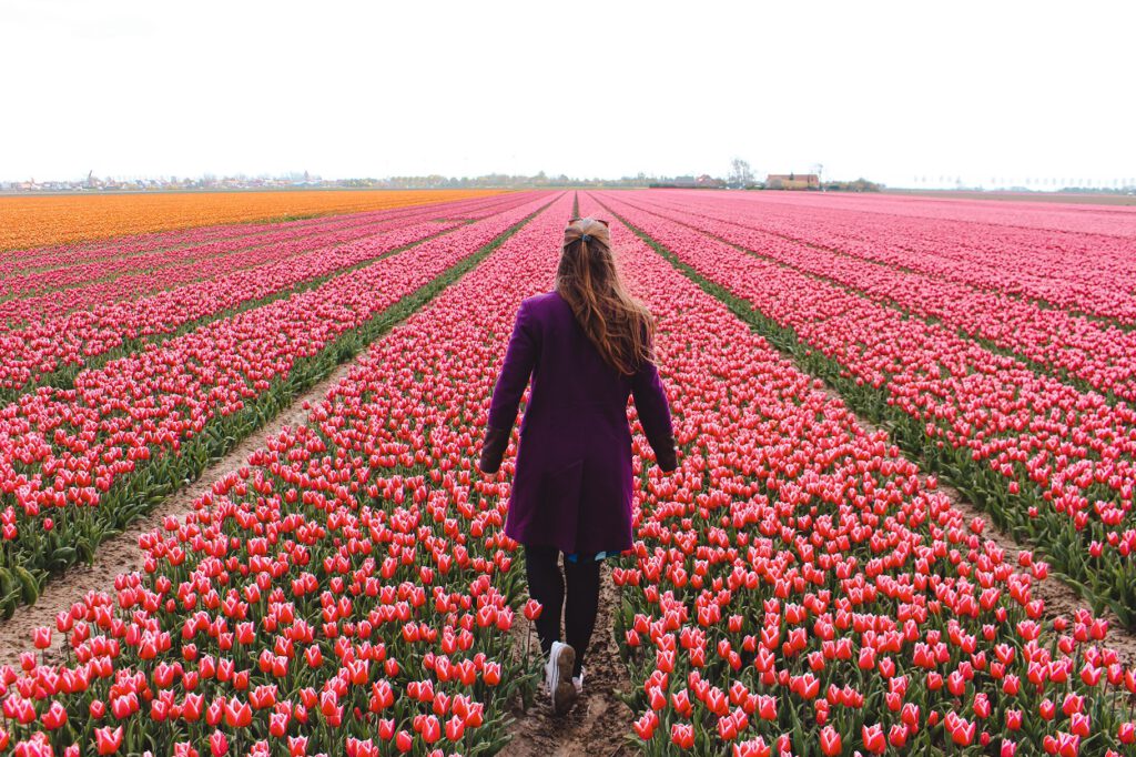 Nederland | De leukste dingen om te doen in de lente