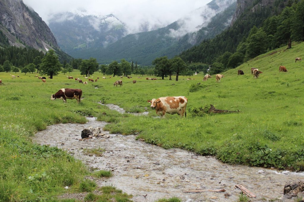 Oostenrijk – Tirol | Wandelen door Natuurpark Karwendel