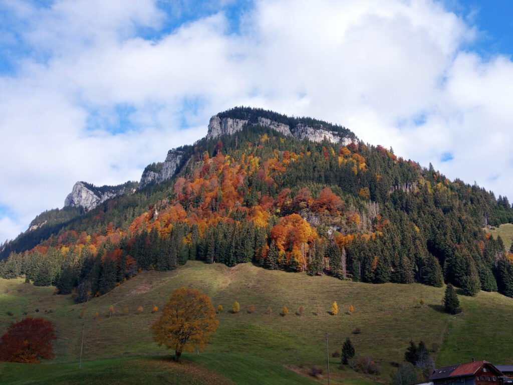 De herfst in Zwitserland | Mooiste wandeltijd van het jaar