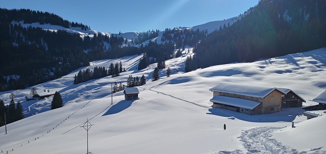 Zwitserland | Winterwonderland op sneeuwschoenen