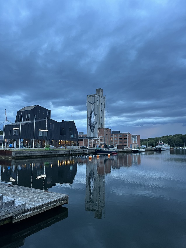 Denemarken | Odense: Odins tempel