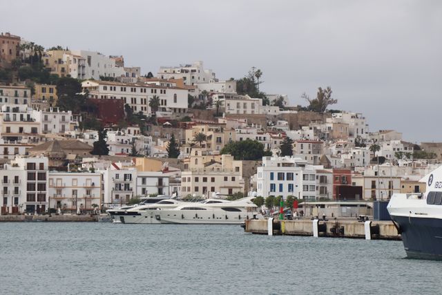 Verse vis proeven bij de vissershaven van Santa Eulària des Riu